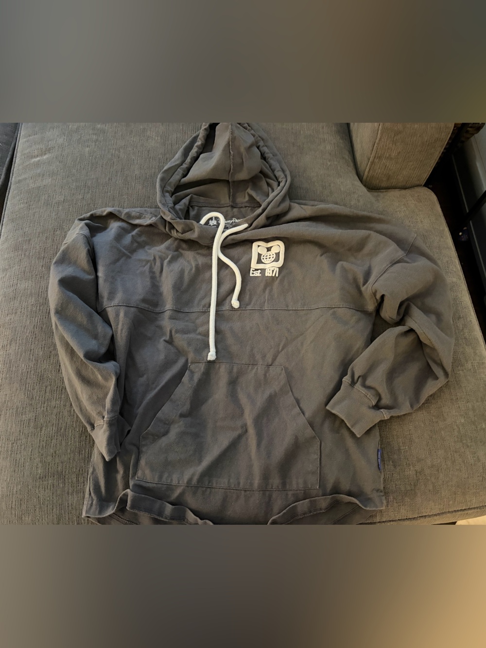 Disney Spirit Jersey with Hood